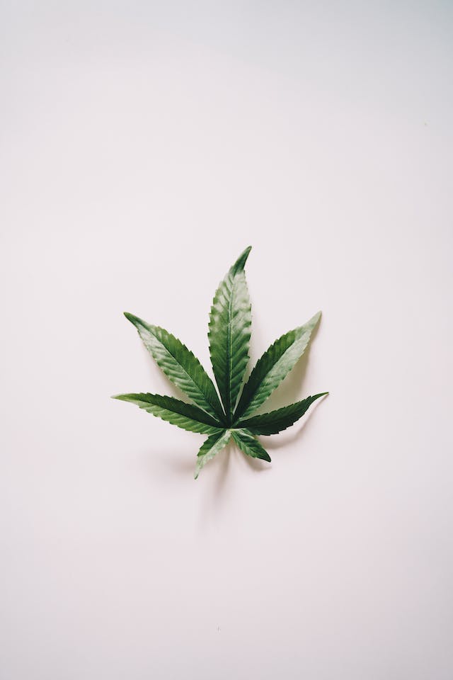 Cannabis et Bien-Être : Une Approche Naturelle pour Améliorer votre Santé